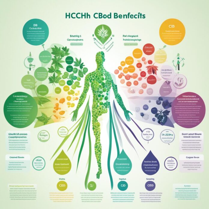 hhch vs cbd